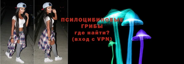 a pvp Богородицк